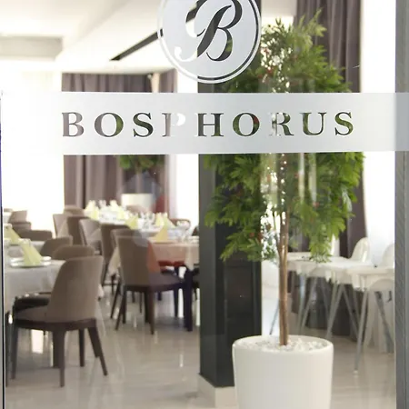酒店 Bosphorus 阿莱克西纳茨